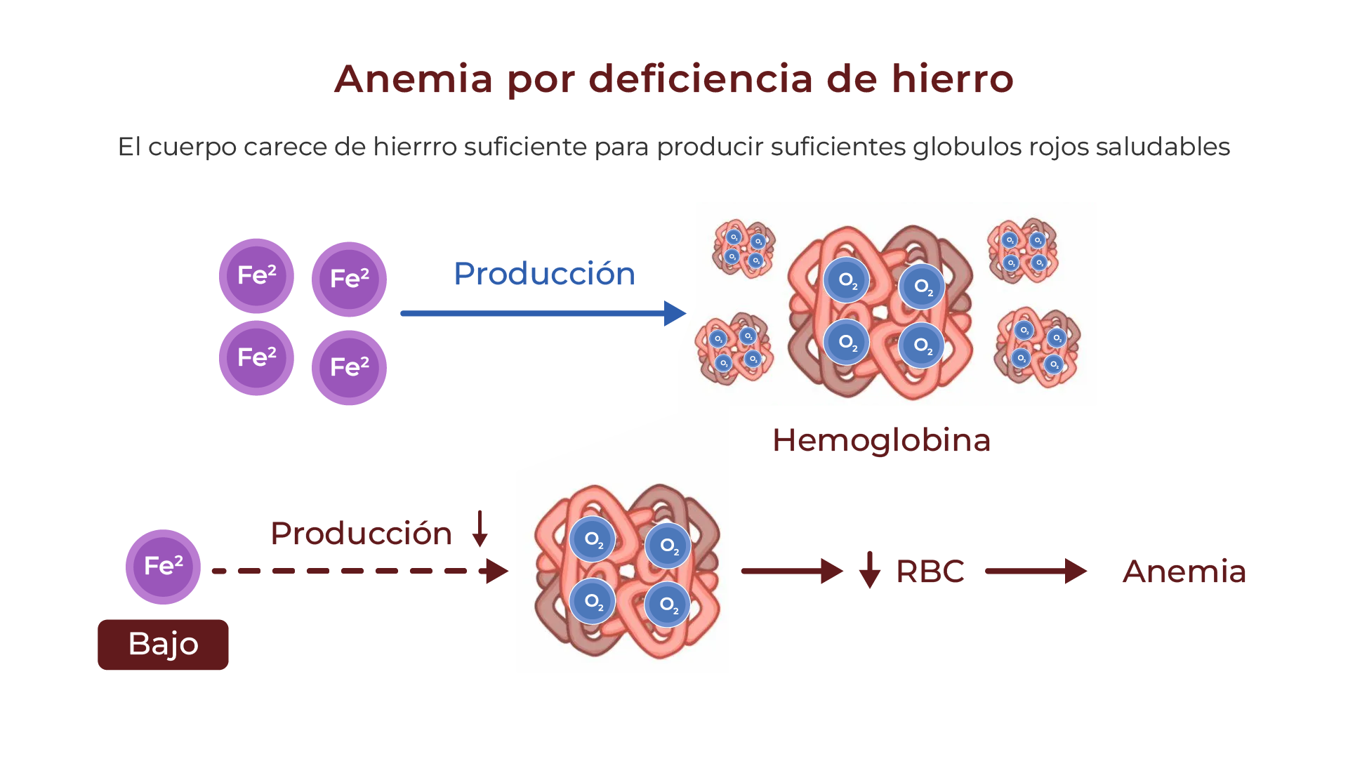 Esquema hematológico de anemia